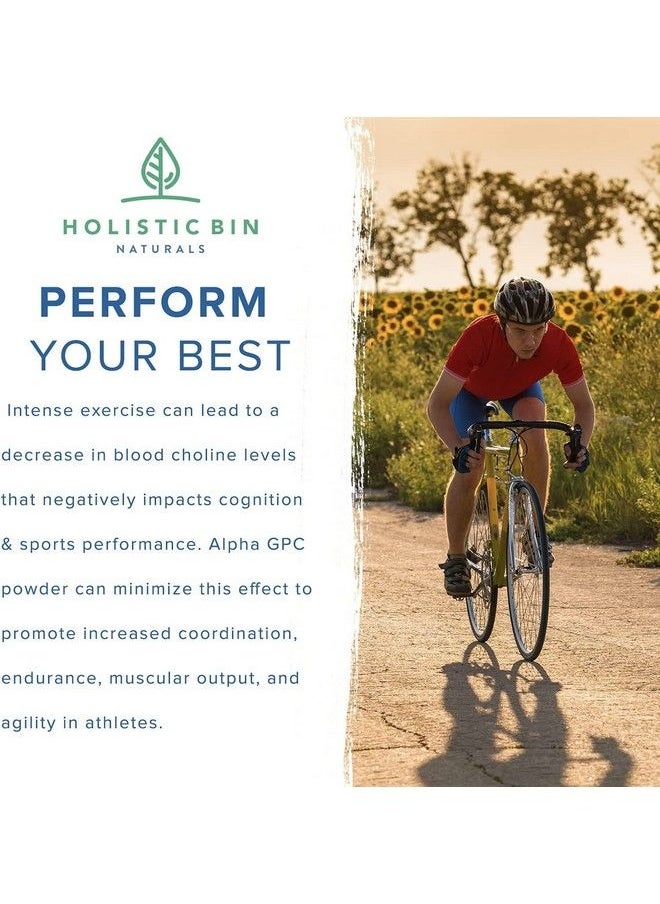 Holistic Bin - Alphasize® Gpc Powder ; Bioavailable Choline Supplement ; Alpha Gpc Powder ; Brain Support Supplement For Memory Focus & Physical Endurance Support - Image 1