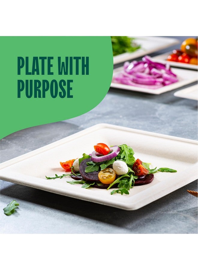 Stack Man 100% Compostable Square Paper Plates [10 inch - 50-Pack] Elegant Disposable Dinner Plates Heavy-Duty Quality, Natural Bagasse Unbleached Eco-Friendly Made of Sugar Cane Fibers, 10" Biodegradable Plate - Image 3