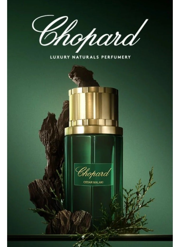 شوبارد ويش عطر شوبارد سيدار ملكي أو دي بارفيوم 80 مل - Image 2