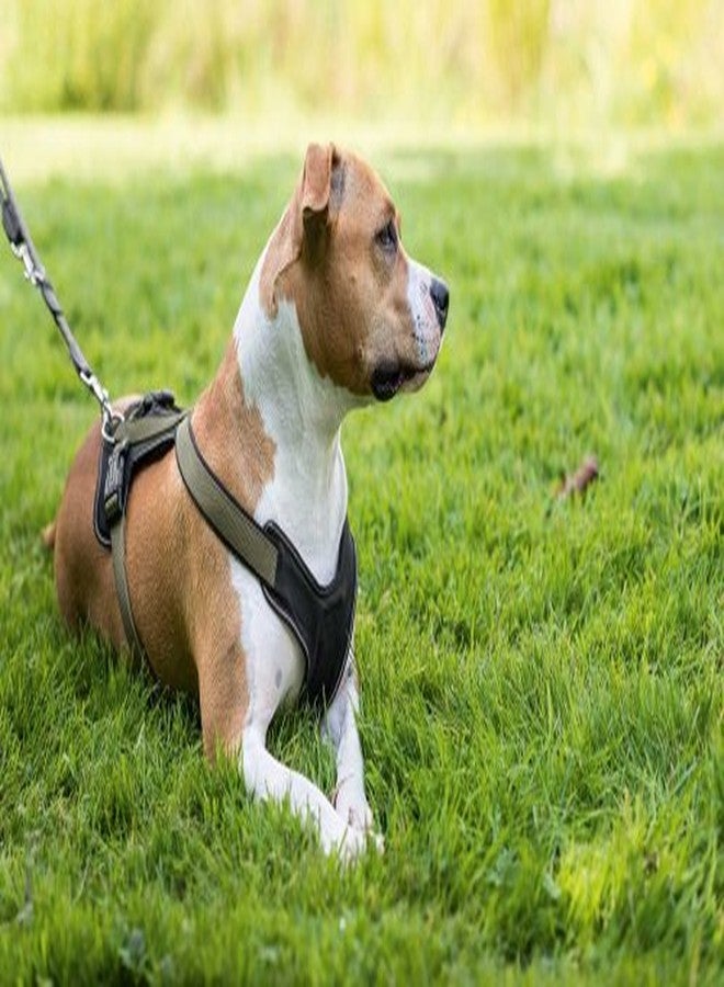 هانتر حزام صدر للكلاب من النيوبرين من هانتر، مقاس كبير، لون توتي/أسود - Image 2