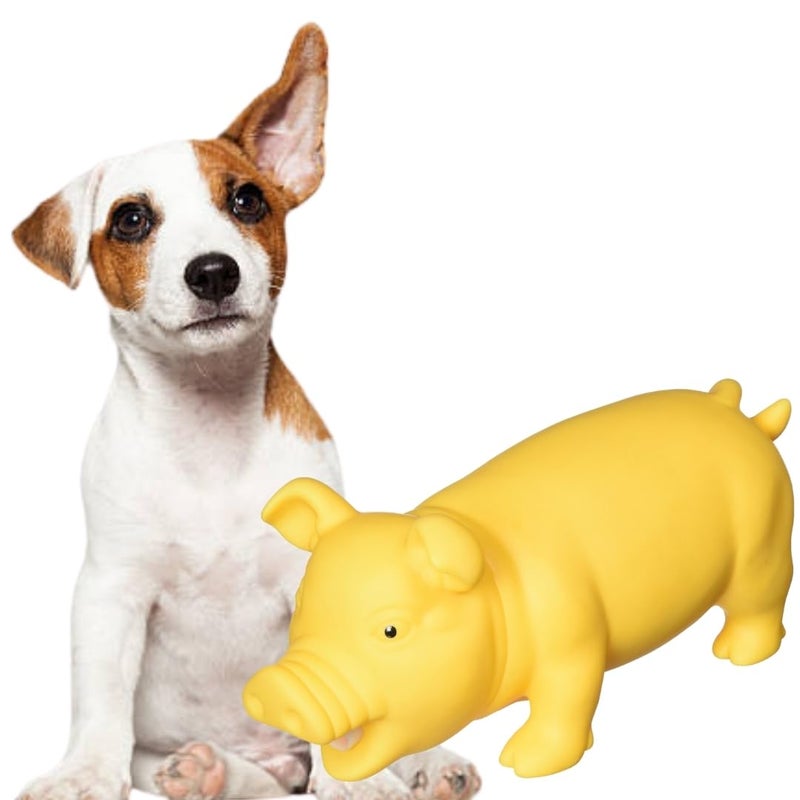 Sage Square Squeaky Rubber Pig Toy for Dogs & Cats: Unleash The Chew Cravings with Loud Squeak, Entertained for Hours, Interactive Rubber Toy, Tugs and Squeezes, Barking Glees, Fun with Pig - Image 1