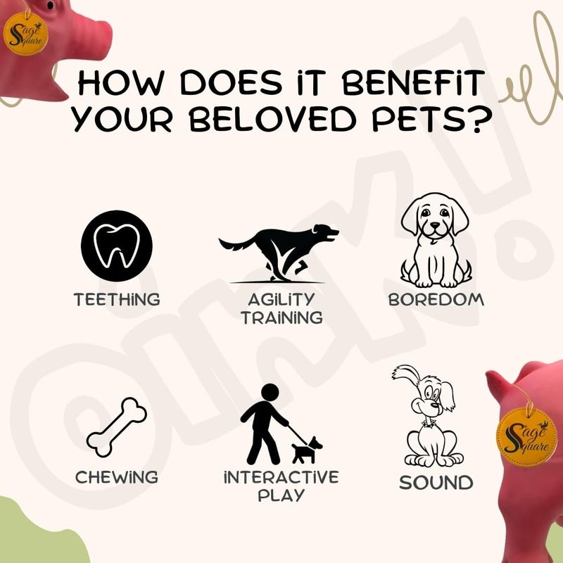 Sage Square Squeaky Rubber Pig Toy for Dogs & Cats: Unleash The Chew Cravings with Loud Squeak, Entertained for Hours, Interactive Rubber Toy, Tugs and Squeezes, Barking Glees, Fun with Pig - Image 4