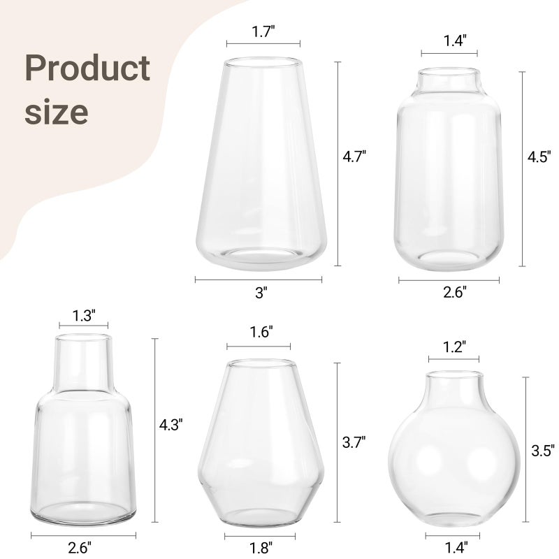 Mkono Propagation Vases for Plants, Set of 5 Small Glass Jar Planters for Hydroponic Cutting Flowers, Plant Station Bud Vases for Centerpieces Home Office Decor Gift - Image 5