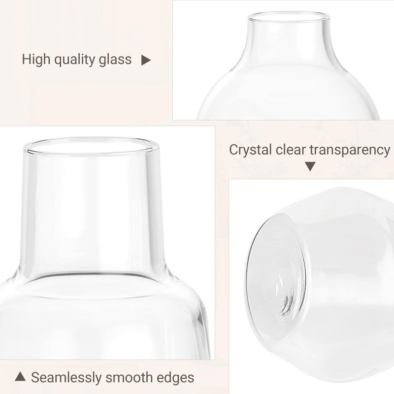 Mkono Propagation Vases for Plants, Set of 5 Small Glass Jar Planters for Hydroponic Cutting Flowers, Plant Station Bud Vases for Centerpieces Home Office Decor Gift - Image 4