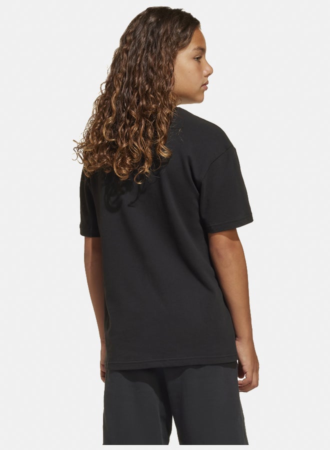 future icons logo unisex t-shirt