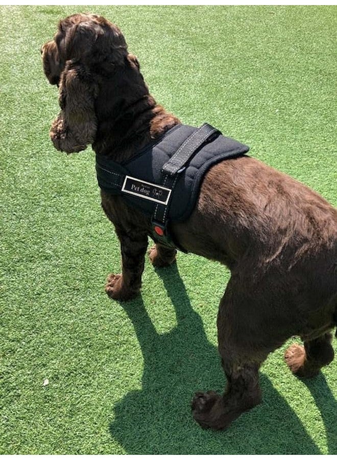 سترة جسم مبطنة ناعمة غير قابلة للسحب للحيوانات الأليفة مع أحزمة ومقبض قابل للتعديل، مثالية للعب وتدريب الكلاب والجراء - (متوسط، أسود) - Image 4