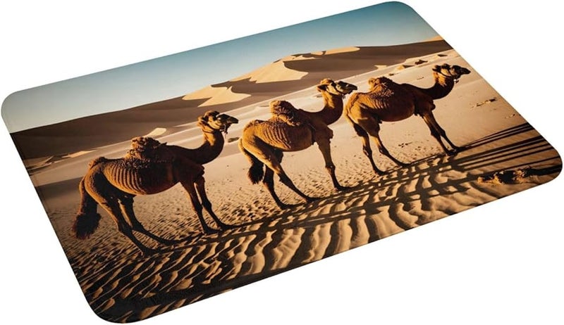 حصيرة باب قطيع الجمال فايا 16x24 للداخل والخارج لشرفة المنزل والجراج والشرفة الأمامية - Image 4