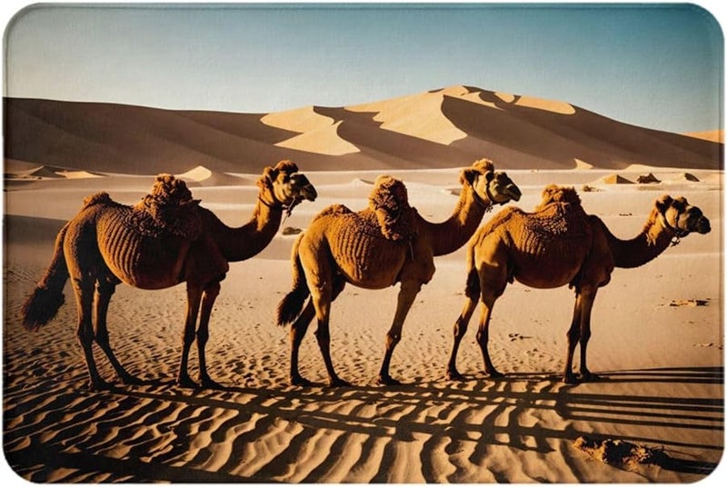 حصيرة باب قطيع الجمال فايا 16x24 للداخل والخارج لشرفة المنزل والجراج والشرفة الأمامية - Image 3