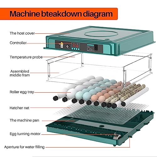 APlayfulBee Automatic Egg Incubator 12-38 Egg Digital Poultry Hatcher Machine ith Automatic Egg Turning, Temperature & Humidity Control, Efficient LED Lighting for Chicken Geese Ducks Pigeons Quails (12 Eggs) - Image 3