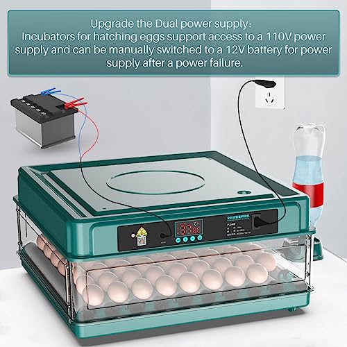 APlayfulBee Automatic Egg Incubator 12-38 Egg Digital Poultry Hatcher Machine ith Automatic Egg Turning, Temperature & Humidity Control, Efficient LED Lighting for Chicken Geese Ducks Pigeons Quails (12 Eggs) - Image 5