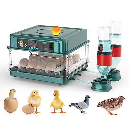 APlayfulBee Automatic Egg Incubator 12-38 Egg Digital Poultry Hatcher Machine ith Automatic Egg Turning, Temperature & Humidity Control, Efficient LED Lighting for Chicken Geese Ducks Pigeons Quails (12 Eggs) - Image 1