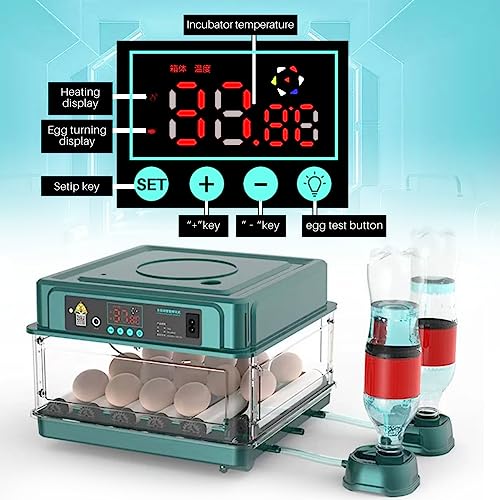 APlayfulBee Automatic Egg Incubator 12-38 Egg Digital Poultry Hatcher Machine ith Automatic Egg Turning, Temperature & Humidity Control, Efficient LED Lighting for Chicken Geese Ducks Pigeons Quails (12 Eggs) - Image 2