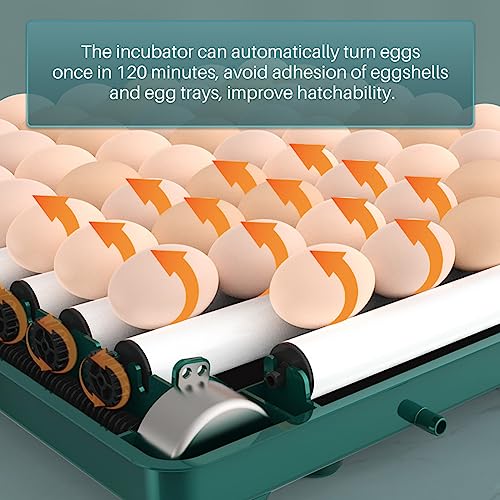 APlayfulBee Automatic Egg Incubator 12-38 Egg Digital Poultry Hatcher Machine ith Automatic Egg Turning, Temperature & Humidity Control, Efficient LED Lighting for Chicken Geese Ducks Pigeons Quails (12 Eggs) - Image 4