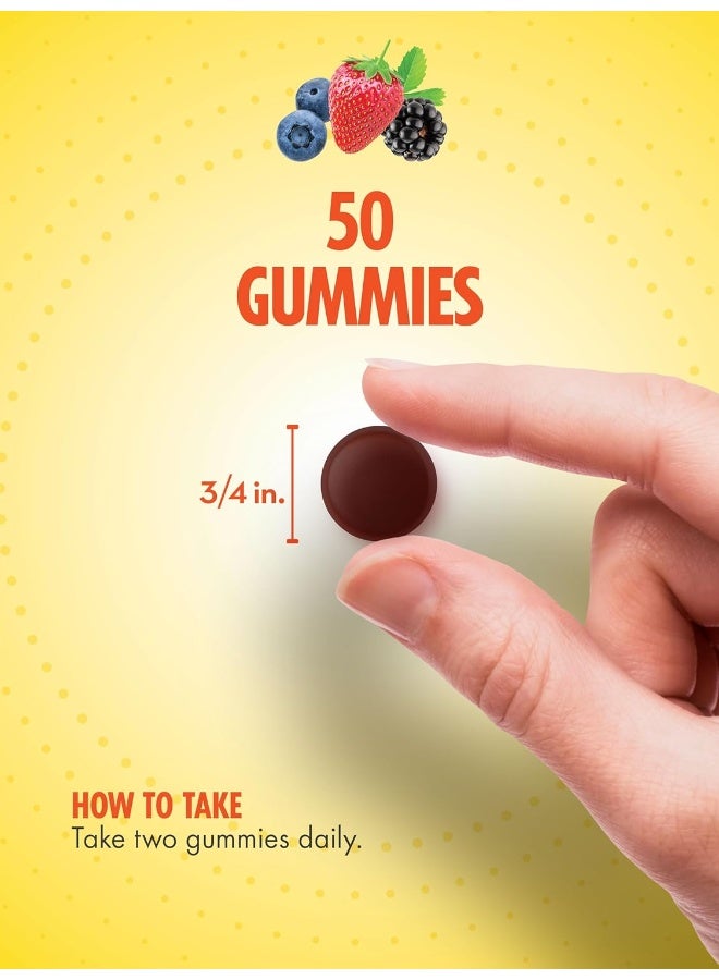 Sundance Adult Multivitamin Gummies Mixed Berry Flavor for Adults - Image 4