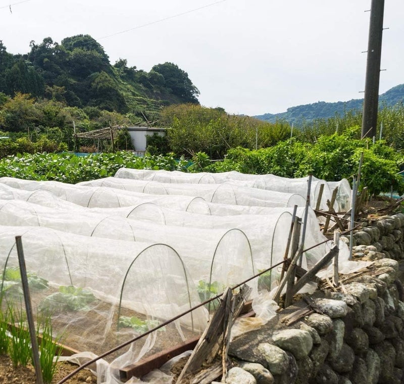Garden Tailor شبكة حديقة لحماية النباتات: 10'x20' شبكة حشرات دقيقة لحماية الحديقة غطاء صفوف أسرة مرتفعة شبكة دفيئة شبكة بعوض، حماية الأشجار والنباتات والخضروات والزهور والفواكه - Image 4