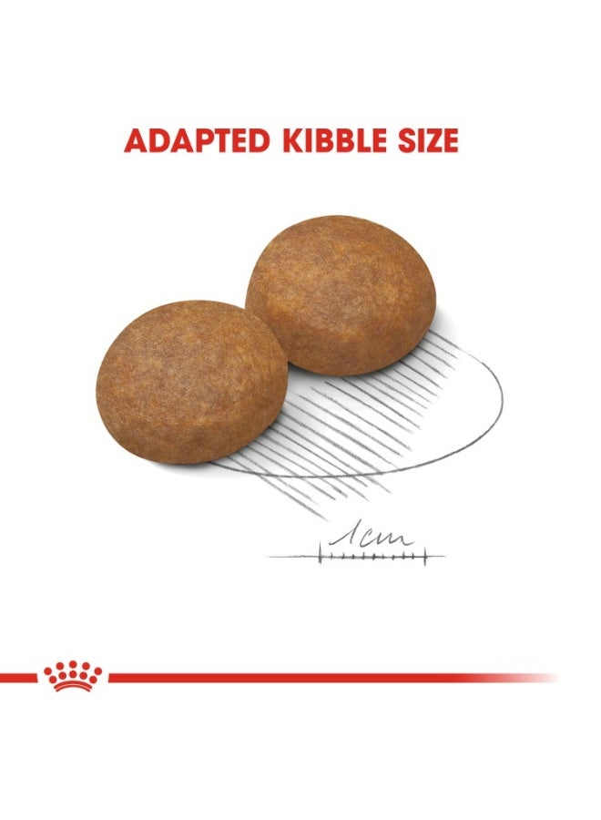 رويال كانين حجم التغذية الصحية ماكسي للبالغين 5+ 15 كجم - Image 5