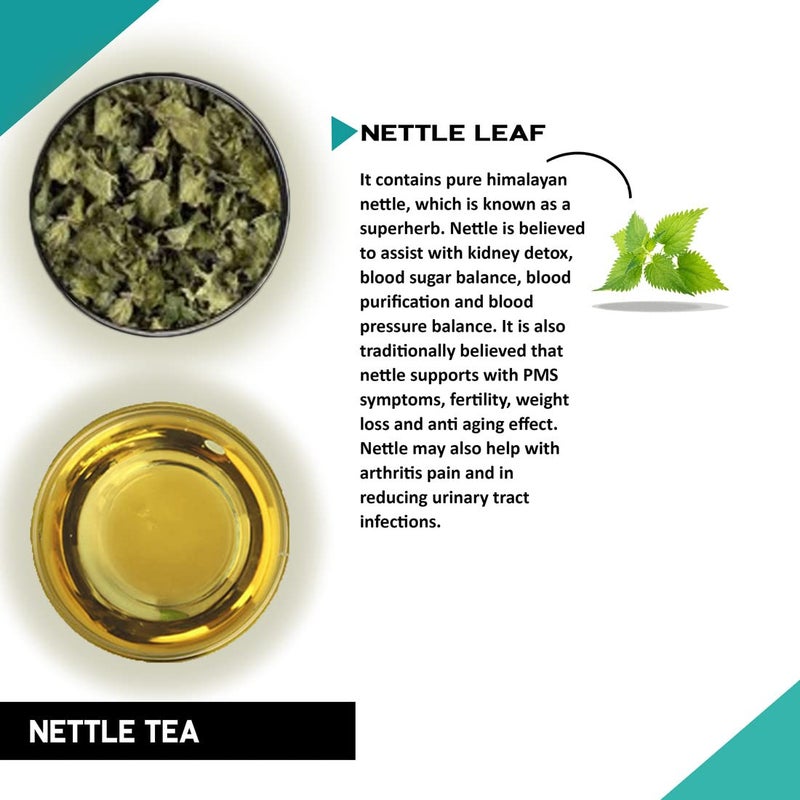 TEACURRY Stinging Nettle Tea (1 Month Pack, 100 Grms Loose) - Helps with Kidney Detox, Blood Sugar, Blood Purify - Nettle Leaf Tea - Image 2