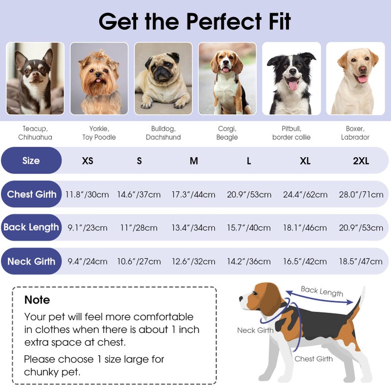 Queenmore Dog Sweaters for Small Dogs, Long Sleeve Doggie Sweater with High Neck, Soft Comfortable Pet Pullover with Patterns, Christmas Warm Dog Kintsweater for Chihuahua Yorkie Pomeranian (Blue,S) - Image 3