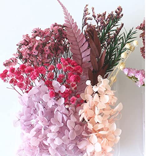iKalaa Preserved Dried Flowers | Resin Art |Nail Art | Jewelry | Candle Making | Craft & DIY Accessories, pink and purple - Image 1