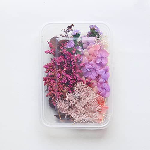 iKalaa Preserved Dried Flowers | Resin Art |Nail Art | Jewelry | Candle Making | Craft & DIY Accessories, pink and purple - Image 2