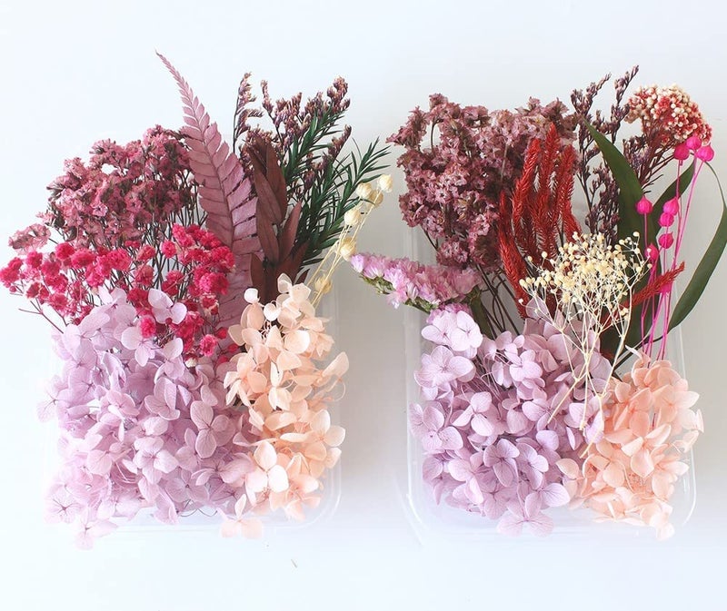 iKalaa Preserved Dried Flowers | Resin Art |Nail Art | Jewelry | Candle Making | Craft & DIY Accessories, pink and purple - Image 3