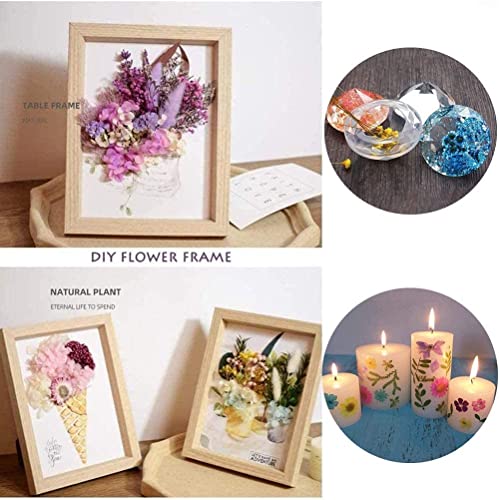 iKalaa Preserved Dried Flowers | Resin Art |Nail Art | Jewelry | Candle Making | Craft & DIY Accessories, pink and purple - Image 5
