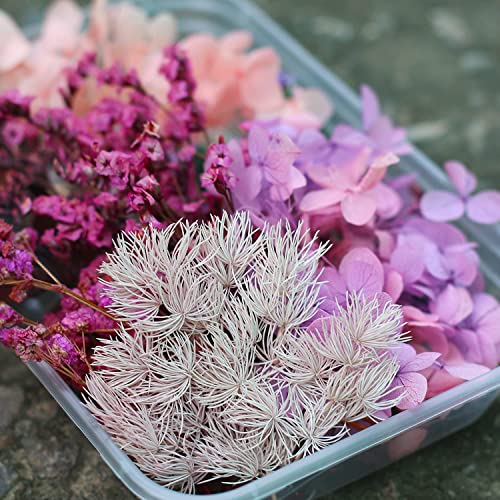 iKalaa Preserved Dried Flowers | Resin Art |Nail Art | Jewelry | Candle Making | Craft & DIY Accessories, pink and purple - Image 4
