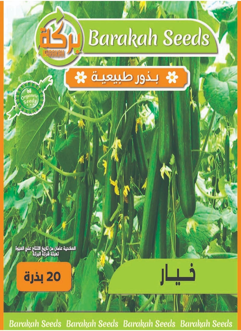Generic High germination rate seeds - cucumber 