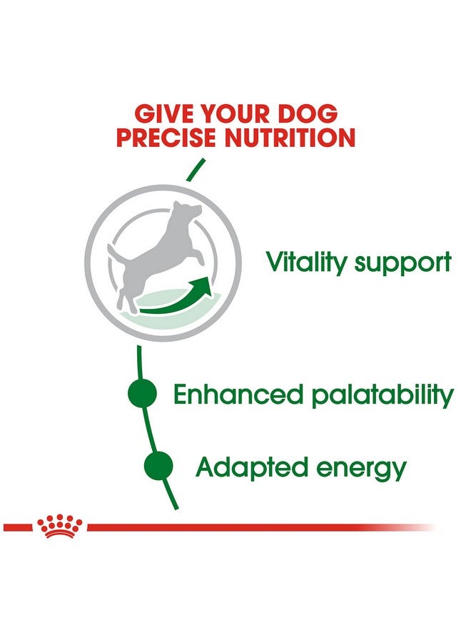 رويال كانين طعام جاف للكلاب الصغيرة البالغة من العمر 8+ من السلالات الصغيرة، كيس 2.5 رطل - Image 4