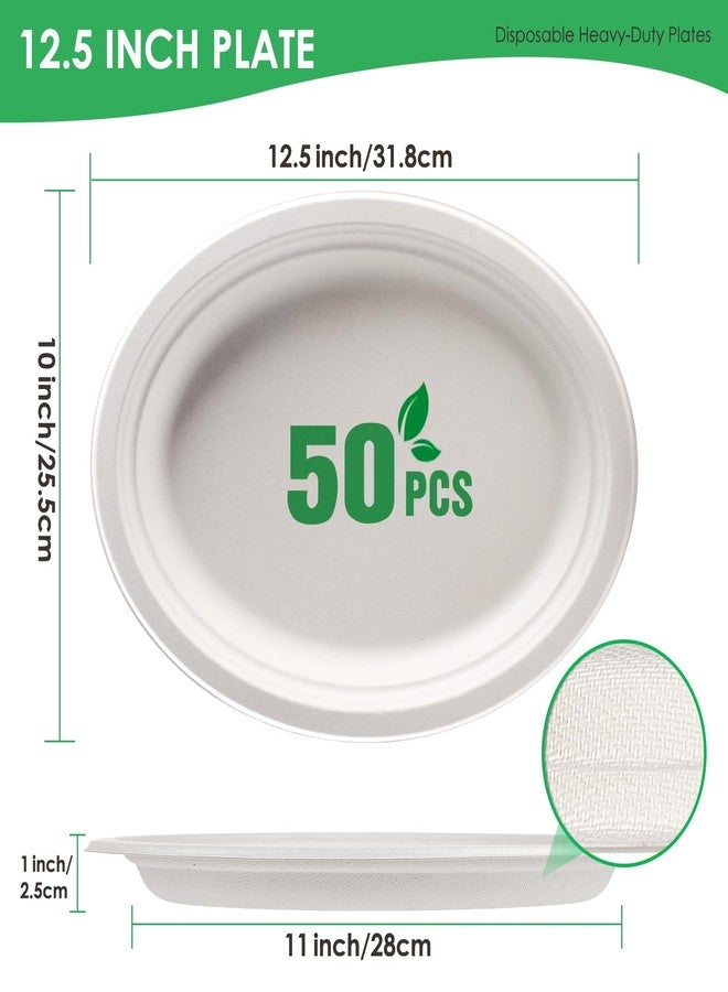 Gezond 100% Compostable Oval Paper Plates 12.5 Inch 50 Pack Large Disposable Heavy-duty Eco-friendly Sugarcane Fiber Plates Biodegradable for Party, BBQ and Picnic Whtie - Image 2