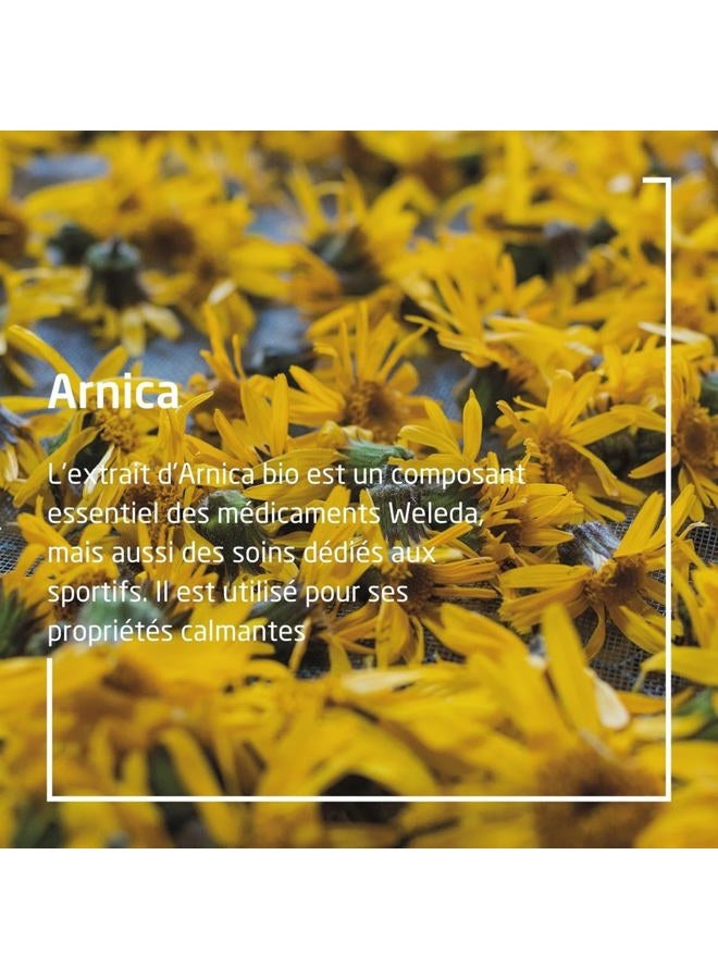 Weleda Arnica Massage Oil 3.4 Fl Oz - Image 3