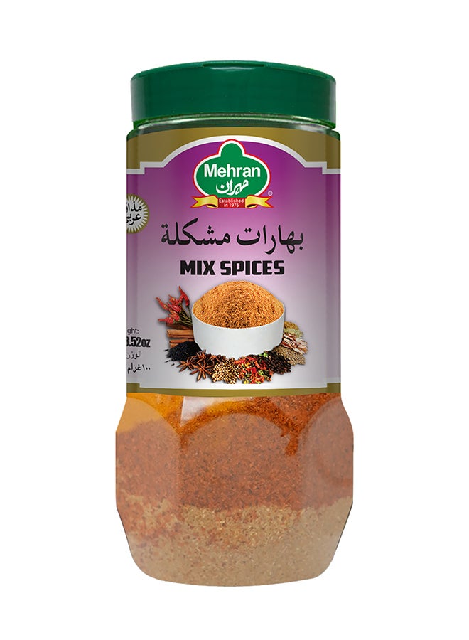 Mehran Mix Spices 100Gm - Image 1