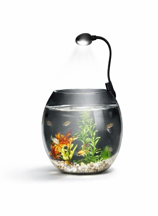rizopets N6+ Multicolor Aquarium LED Light 6 W | WRGB Spectrum | 3 Lighting Modes | 360° Flexible Arm | Clip-On Lamp for Nano Fish Tanks & Bowls - Image 1
