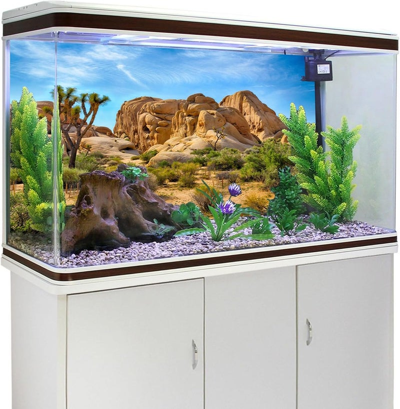 سي اس فوتو Polyester 30X12 Inches Joshua Tree National Park Backdrop Arid Barren Cactus Sandstone Rock Climate Mountain and Desert Scenery Backdrop Desert Terrarium Background - Image 4