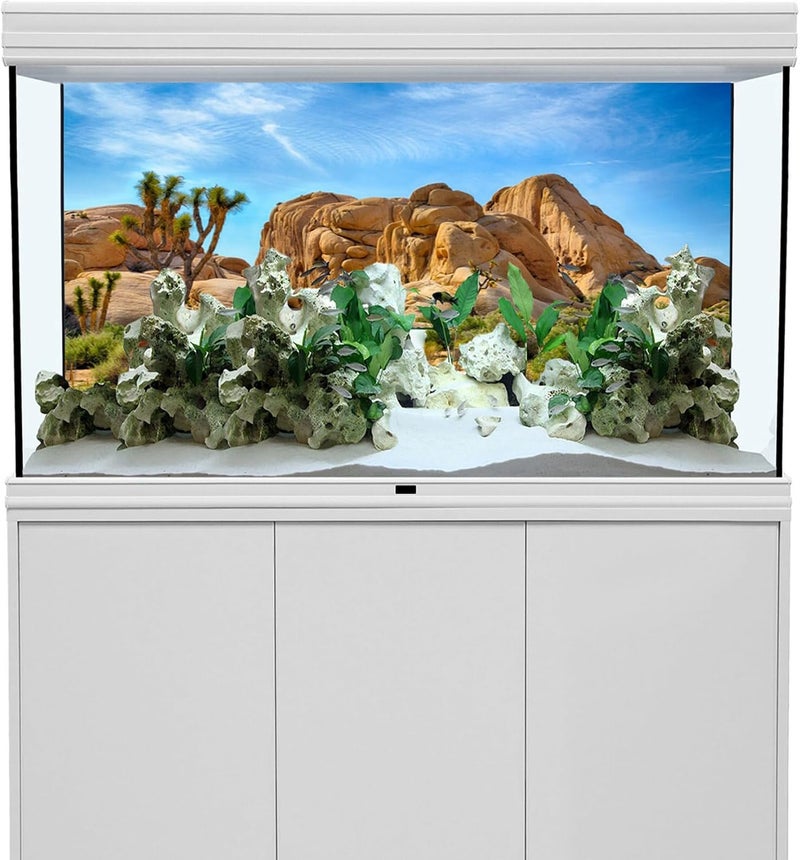 سي اس فوتو Polyester 30X12 Inches Joshua Tree National Park Backdrop Arid Barren Cactus Sandstone Rock Climate Mountain and Desert Scenery Backdrop Desert Terrarium Background - Image 5