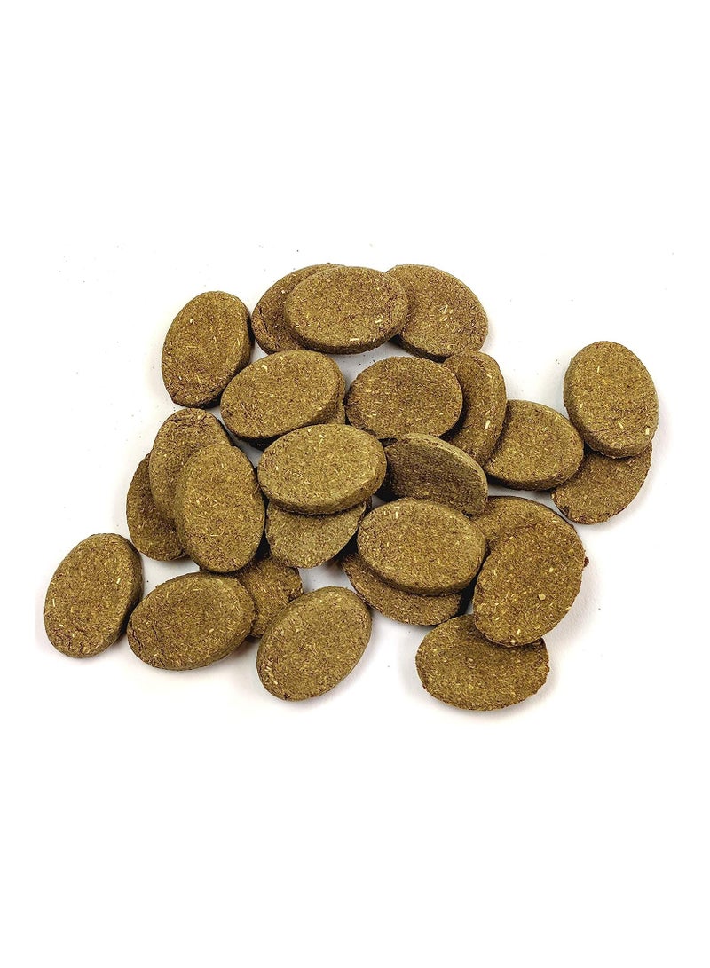 Oxbow Natural Science Skin & Coat Supplement for Small Animals 120 g - Image 2