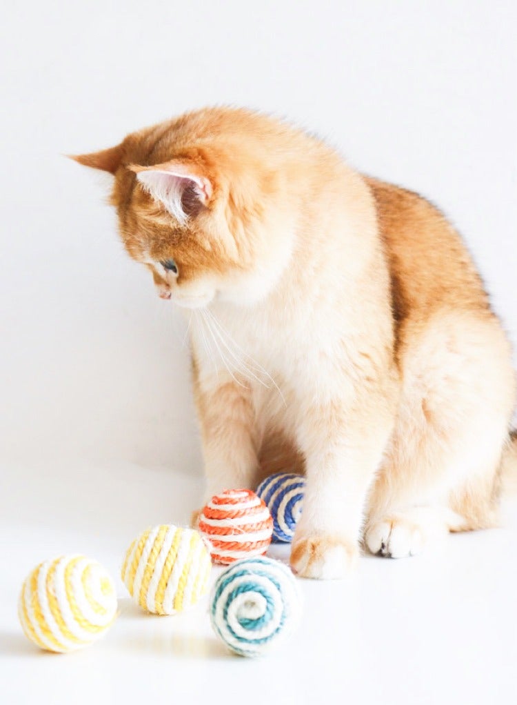 حزمة كرات سيزال للقطط مكونة من 5 كرات سيزال ملونة متنوعة للقطط للخدش أو الحيوانات الأليفة أو العض أو المطاردة، ألعاب تفاعلية للقطط للقطط الداخلية، كرة حبل تفاعلية قابلة للتدوير متينة للقطط الصغيرة - Image 5