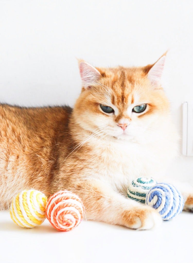 حزمة كرات سيزال للقطط مكونة من 5 كرات سيزال ملونة متنوعة للقطط للخدش أو الحيوانات الأليفة أو العض أو المطاردة، ألعاب تفاعلية للقطط للقطط الداخلية، كرة حبل تفاعلية قابلة للتدوير متينة للقطط الصغيرة - Image 4