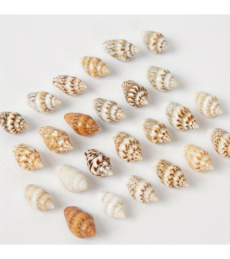 Mini Shell Conch Random Style 3pcs DIY Handmade Snail Powder Props Micro Landscape Decoration Accessories - Image 3