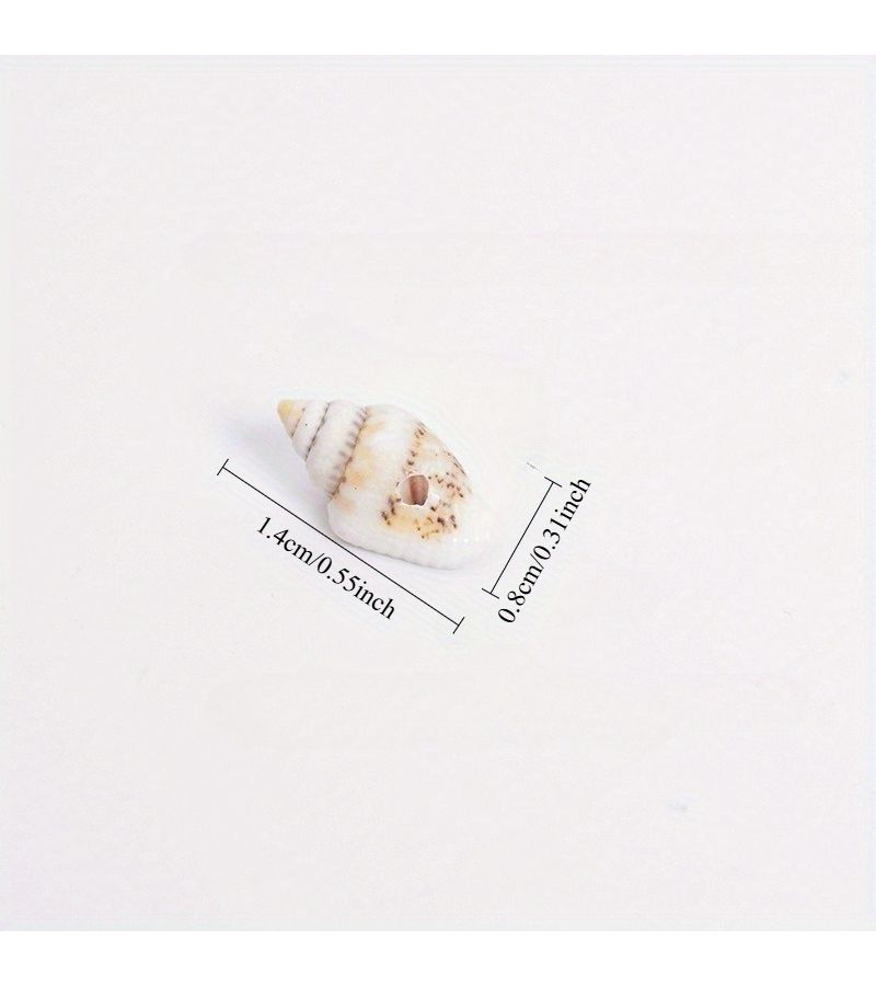 Mini Shell Conch Random Style 3pcs DIY Handmade Snail Powder Props Micro Landscape Decoration Accessories - Image 5