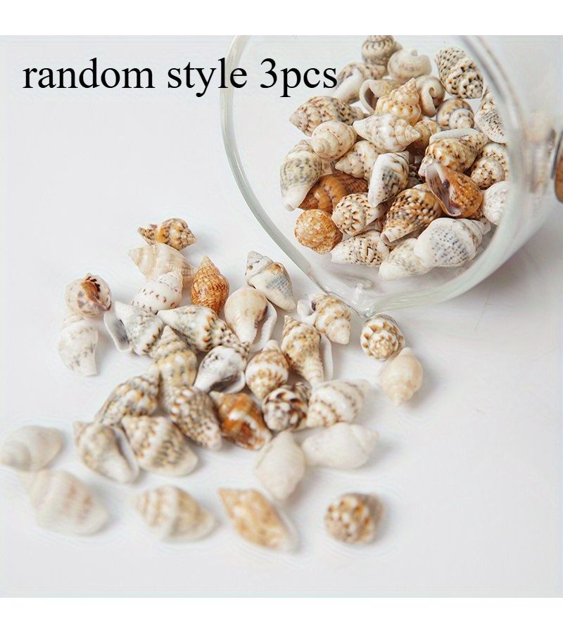 Mini Shell Conch Random Style 3pcs DIY Handmade Snail Powder Props Micro Landscape Decoration Accessories - Image 1