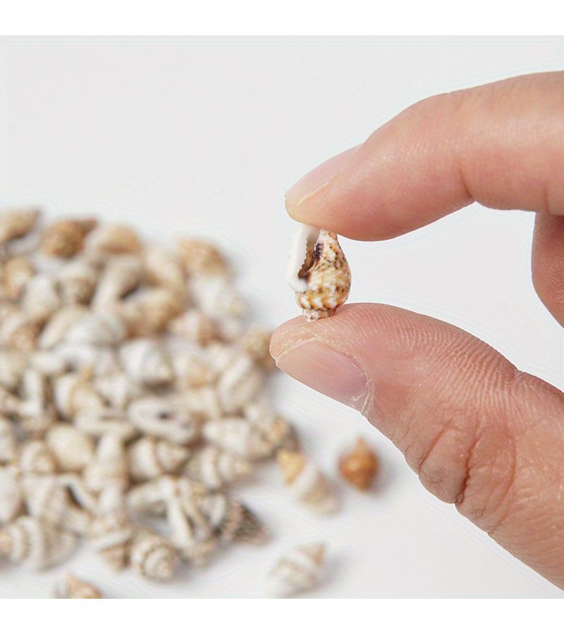Mini Shell Conch Random Style 3pcs DIY Handmade Snail Powder Props Micro Landscape Decoration Accessories - Image 2