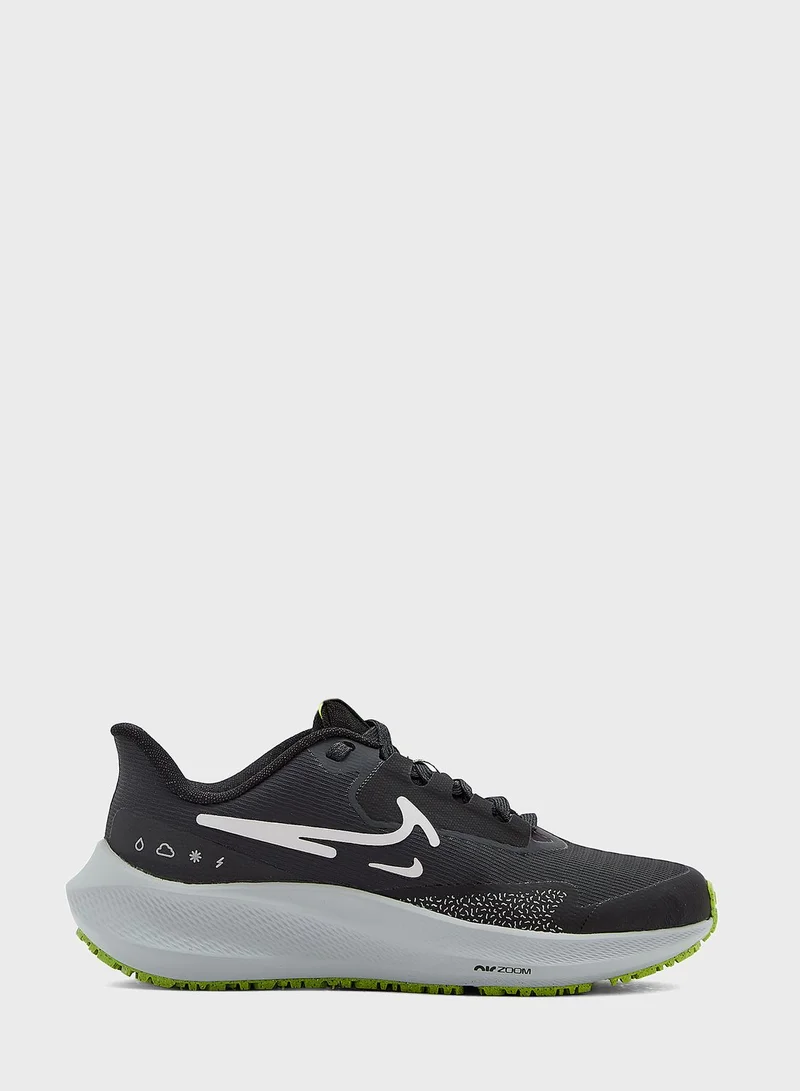 Nike Pegasus 39 Shield