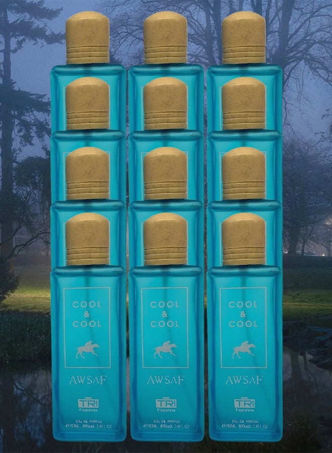 تي أر آي 12 قطع عطر أوصاف كول آند كول 100 مل - Image 1