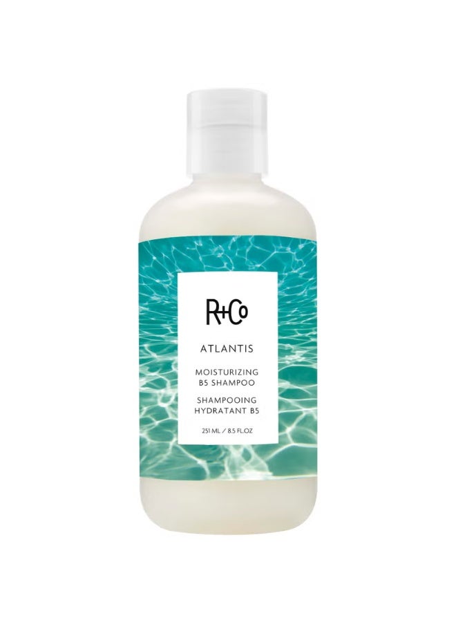 آر+كو شامبو مرطب R+Co ATLANTIS B5 251 مل - Image 1