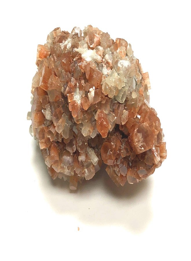 زينترون كريستال كولكشن مجموعة زينترون كريستال أراغونيت قطعة واحدة مقاس 1.5 بوصة - Image 1