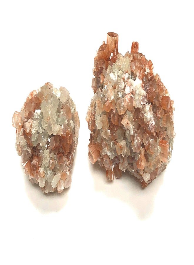 زينترون كريستال كولكشن مجموعة زينترون كريستال أراغونيت قطعة واحدة مقاس 1.5 بوصة - Image 4