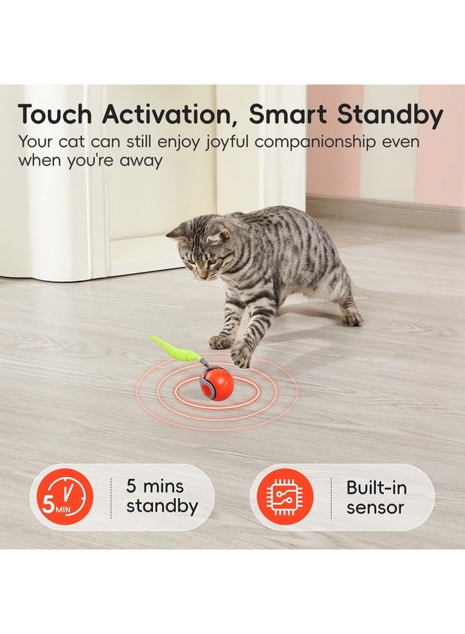 Potaroma Moving Ball Cat Toys with Feather Tail, Rechargeable 2025 New Interactive Toy for Indoor Cats Exercise, Smart Interactive Kitten Rolling Ball, Orange - Image 4