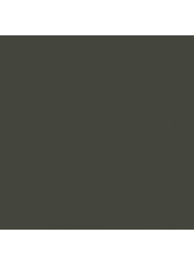 Rust-Oleum 249418 Automotive Sandable Primer Spray Paint, 12 Ounce, Black, 12 Fl Oz - Image 2