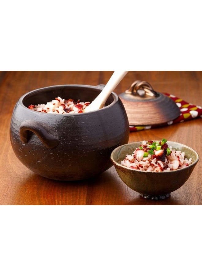 IPPINKA Japanese Donabe Rice Cooker with Non-Stick Coating, 3 Go, Banko-Yaki Made in Mie, Japan - Image 2